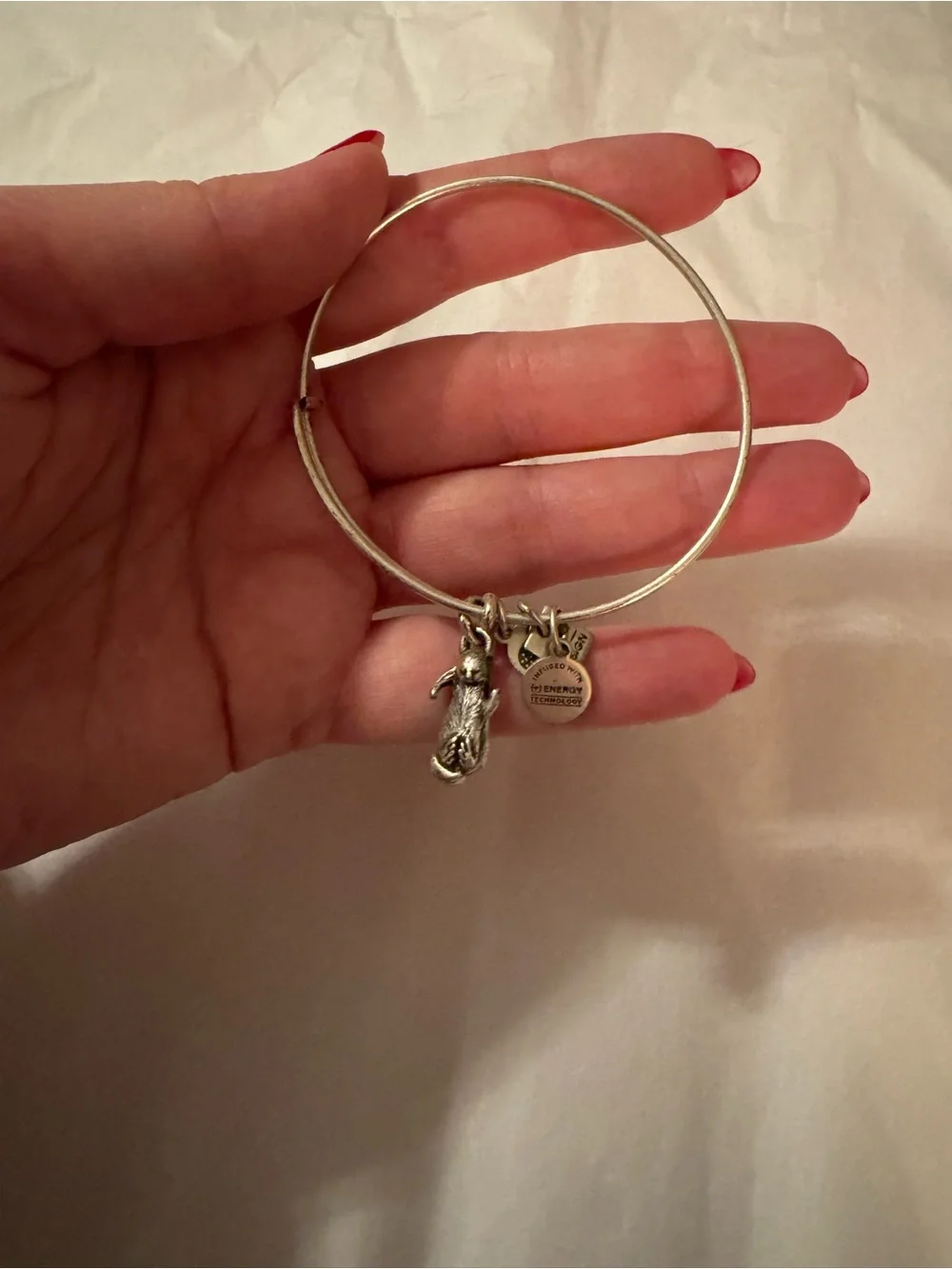 Alex and Ani Silver Otter Charm Expandable Bangle